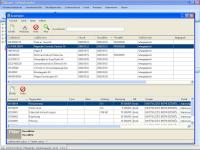 Benefit Vállalatirányítás