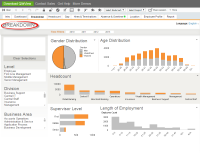 QlikView