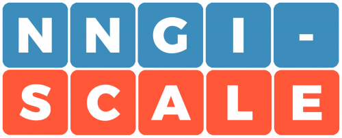 NNGI-Scale